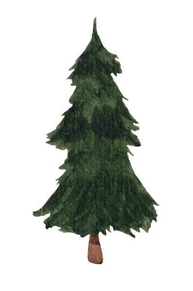Weihnachtsbaum Aquarell Fichte Für Das Neue Jahr Auf Weißem Hintergrund — Stockfoto