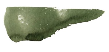 Fırça darbesi. Soyut nokta yeşili suluboya, Noel, beyaz arka planda, tasarım için..