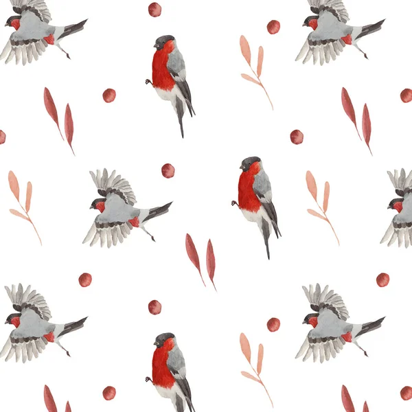 Padrão Sem Costura Conjunto Floral Com Pássaros Cores Vermelhas Rosa Imagem De Stock