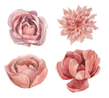 Pembe, ten rengi çiçekler, güller, şakayıklar, yıldız çiçekleri, suluboya ile boyanmış, özellikle senin tasarımın için.