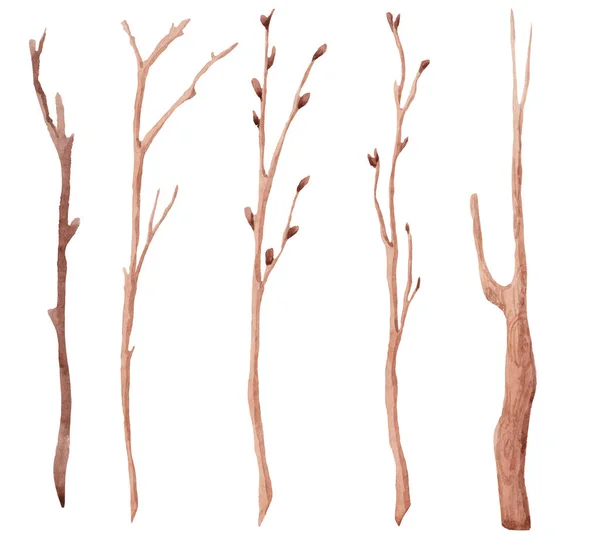 Twigs Zonder Bladeren Zijn Getekend Aquarel Een Witte Achtergrond Voor — Stockfoto