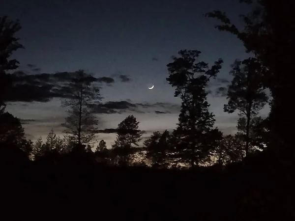 Вид Звездную Ночь — стоковое фото