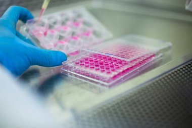 Tıp ve hücre kültürü laboratuvarında hücre kültürü