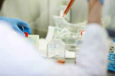 Tıp ve hücre kültürü laboratuvarında hücre kültürü