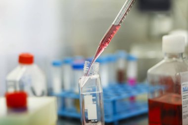 Tıp ve hücre kültürü laboratuvarında hücre kültürü