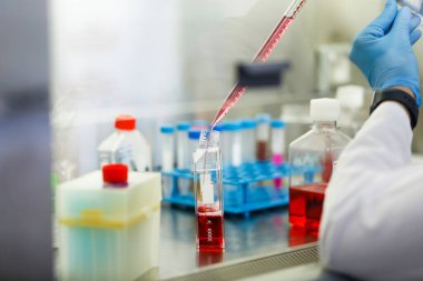 Tıp, tıp ve hücre kültürü laboratuvarında hücre kültürü