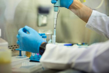 Tıp, tıp ve hücre kültürü laboratuvarında hücre kültürü