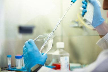 Tıp, tıp ve hücre kültürü laboratuvarında hücre kültürü