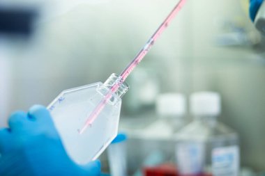 Tıp, tıp ve hücre kültürü laboratuvarında hücre kültürü