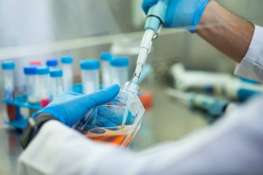 Tıp, tıp ve hücre kültürü laboratuvarında hücre kültürü