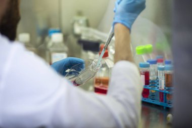 tıp, tıp ve biyoloji laboratuvarı