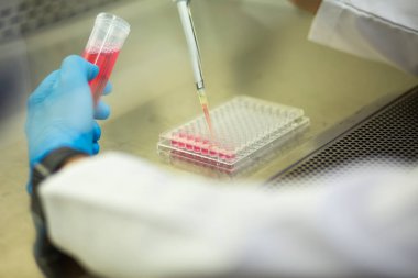 tıp, tıp ve biyoloji laboratuvarı