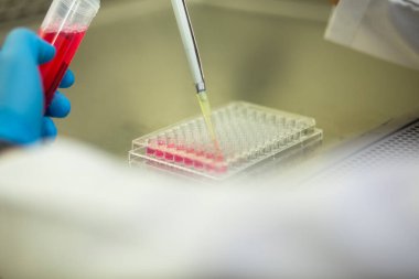 tıp, tıp ve biyoloji laboratuvarı