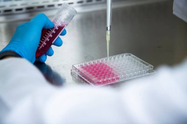 Güvenlik kabinesinde hücre kültürü 