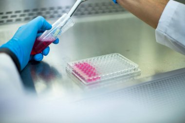 Laboratuvardaki hücre kültürü