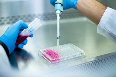 Laboratuvardaki hücre kültürü