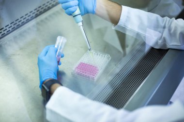 Laboratuvardaki hücre kültürü