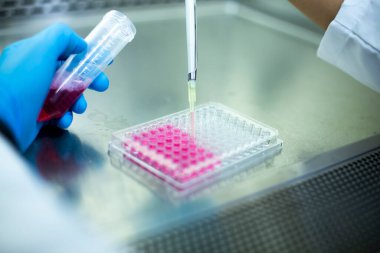 Laboratuvardaki hücre kültürü