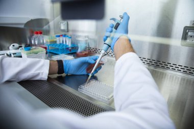 Tıp, tıp ve hücre kültürü laboratuvarında hücre kültürü