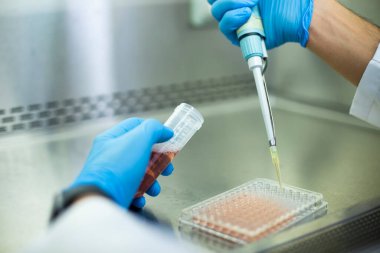 hücre kültürü, tıp, tıbbi ve biyoloji laboratuvar fotoğrafı