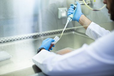 hücre kültürü, tıp, tıbbi ve biyoloji laboratuvar fotoğrafı