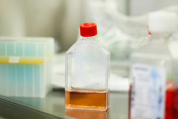 cell culture at the medicine and cell culture laboratory