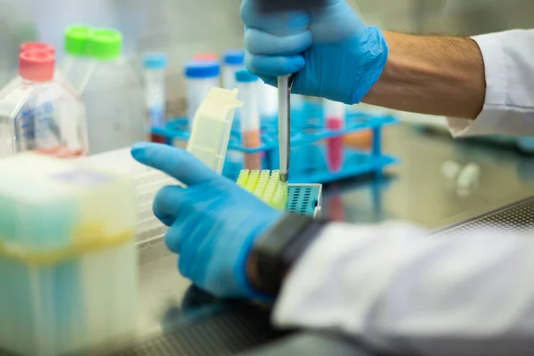 stock image cell culture at the medicine, medical and cell culture laboratory