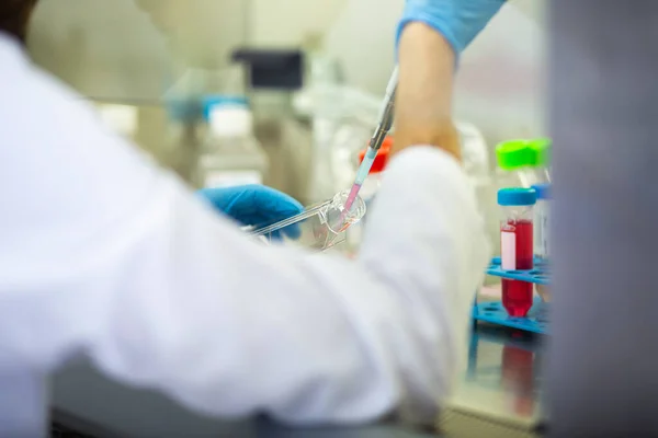 stock image medicine, medical and biology laboratory