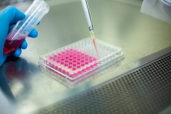 stock image cell culture at the medicine, medical and cell culture laboratory