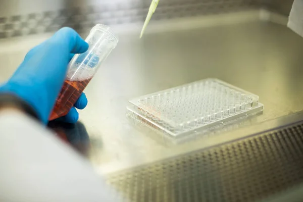 cell culture, medicine, medical and biology laboratory photo