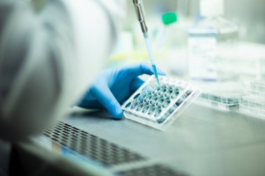 hücre kültürü tıbbi, ilaç ve hücre kültürü laboratuvarı