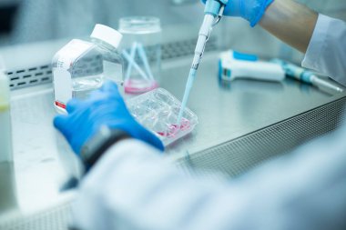 tıp, tıp ve hücre kültürü laboratuvarı