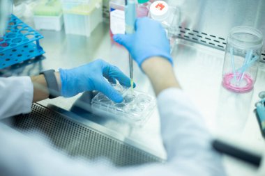tıp, tıp ve hücre kültürü laboratuvarı