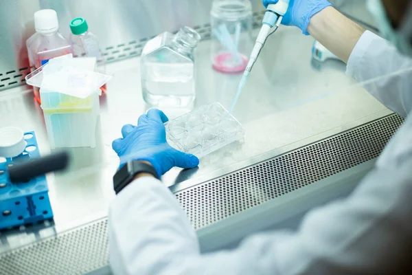 stock image medicine, medical and cell culture laboratory