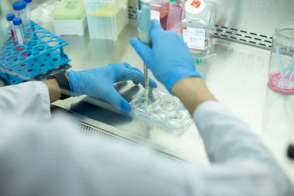 stock image medicine, medical and cell culture laboratory