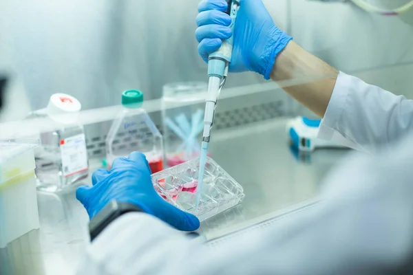stock image medicine, medical and cell culture laboratory