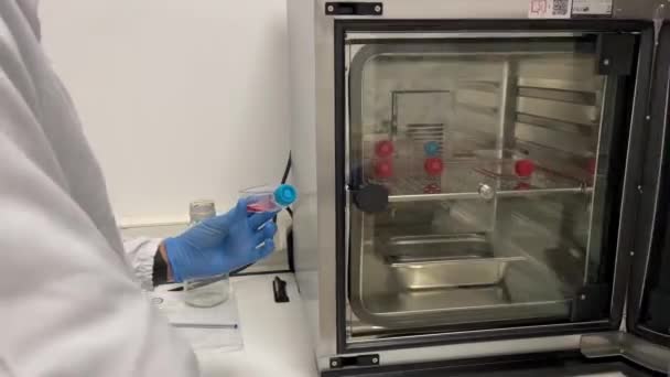 Inkubator Laboratoryjny Laboratorium Biologii Medycyny Hodowli Komórkowej — Wideo stockowe
