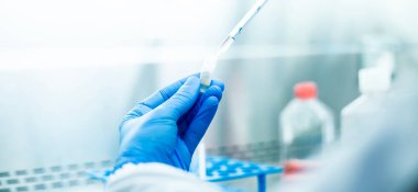 Hücre kültürünün tıp ve tıp laboratuvarında hücre kültürü 