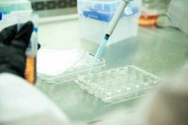 Hücre kültürünün tıp ve tıp laboratuvarında hücre kültürü 