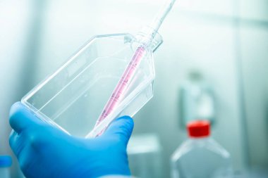 Hücre kültürünün tıp ve tıp laboratuvarında hücre kültürü 