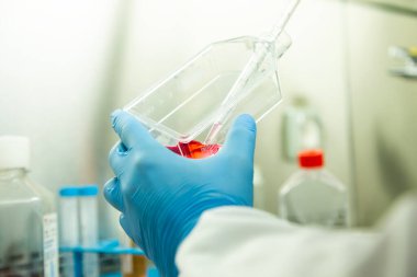 Hücre kültürünün tıp ve tıp laboratuvarında hücre kültürü 