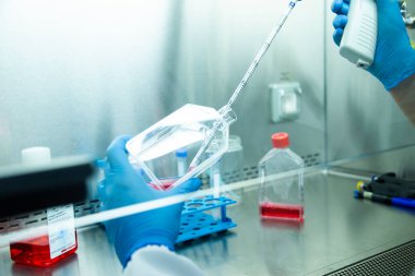 Hücre kültürünün tıp ve tıp laboratuvarında hücre kültürü 