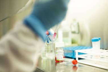 Hücre kültürünün tıp ve tıp laboratuvarında hücre kültürü 