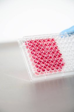 Hücre kültürünün tıp ve tıp laboratuvarında hücre kültürü 