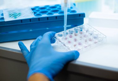 Hücre kültüründe hücre kültürü genetik biyo-rocess tıp ve tıbbi labrotory