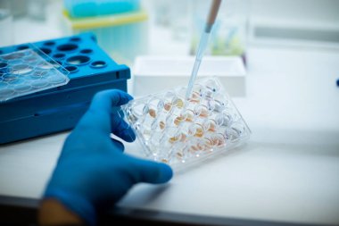 Hücre kültüründe hücre kültürü genetik biyo-rocess tıp ve tıbbi labrotory