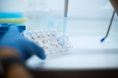 Hücre kültüründe hücre kültürü genetik biyo-rocess tıp ve tıbbi labrotory