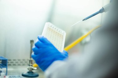 hücre kültürü ve mikrobiyoloji laboratuvarı 