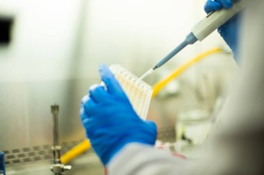 hücre kültürü ve mikrobiyoloji laboratuvarı 