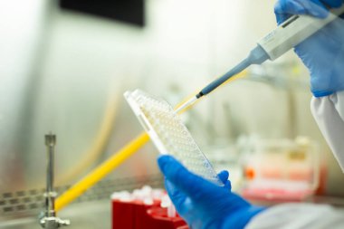 hücre kültürü ve mikrobiyoloji laboratuvarı 